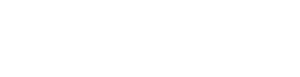 Stone Trust Capital